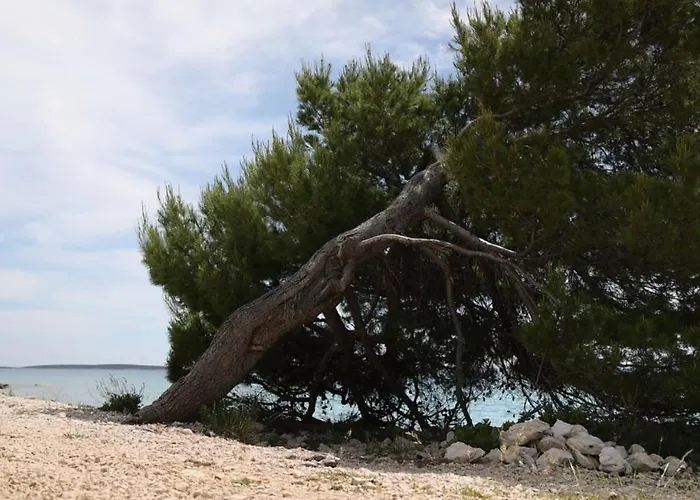 Luxury House Ii With Jacuzzi בית נופש *