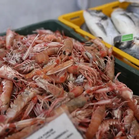 Feriehus Luxury House Ii With Jacuzzi *