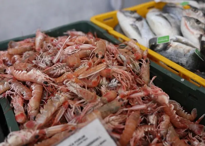 Dom wakacyjny Luxury House Ii With Jacuzzi *